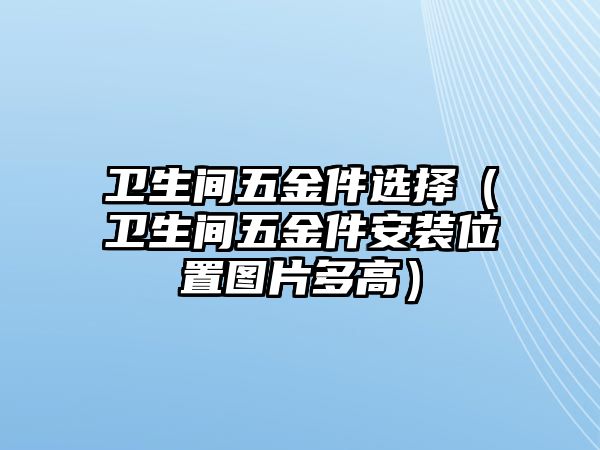 衛生間五金件選擇（衛生間五金件安裝位置圖片多高）