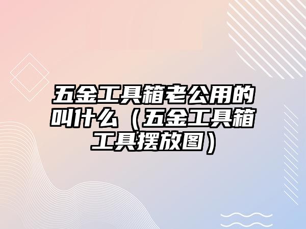 五金工具箱老公用的叫什么（五金工具箱工具擺放圖）