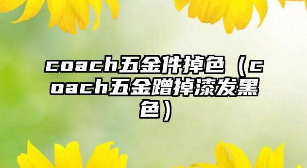 coach五金件掉色（coach五金蹭掉漆發黑色）