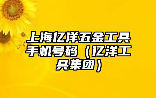 上海億洋五金工具手機號碼（億洋工具集團）