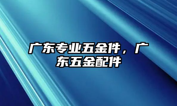 廣東專業五金件，廣東五金配件