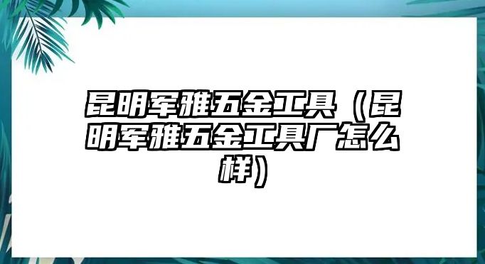 昆明軍雅五金工具（昆明軍雅五金工具廠怎么樣）