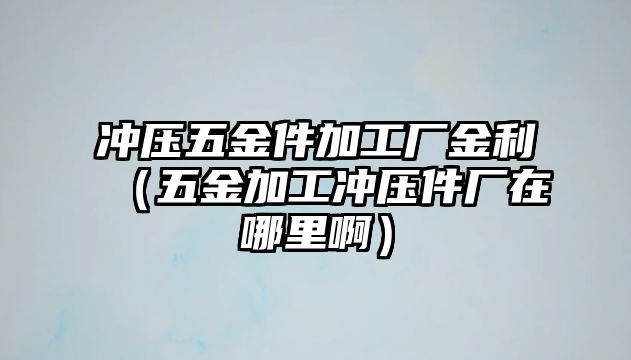 沖壓五金件加工廠金利（五金加工沖壓件廠在哪里啊）