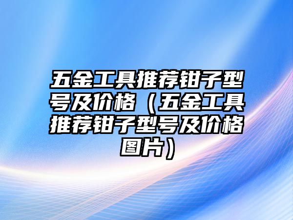 五金工具推薦鉗子型號及價格（五金工具推薦鉗子型號及價格圖片）