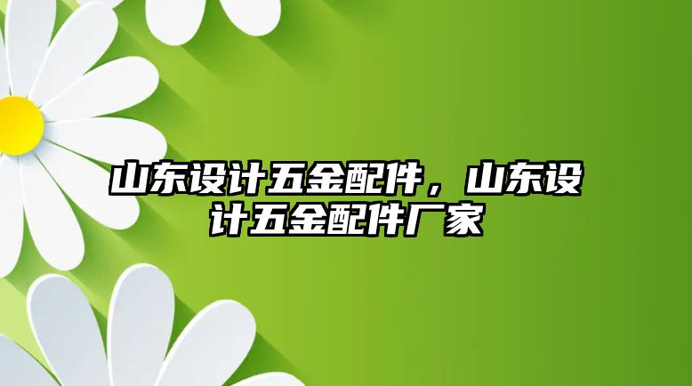 山東設(shè)計(jì)五金配件，山東設(shè)計(jì)五金配件廠家