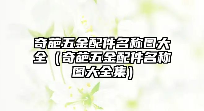 奇葩五金配件名稱圖大全（奇葩五金配件名稱圖大全集）