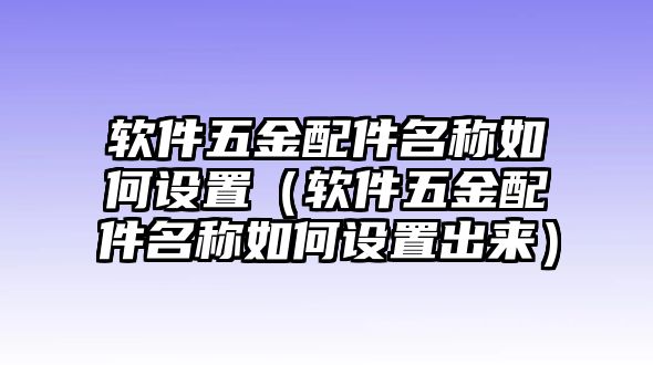 軟件五金配件名稱如何設置（軟件五金配件名稱如何設置出來）