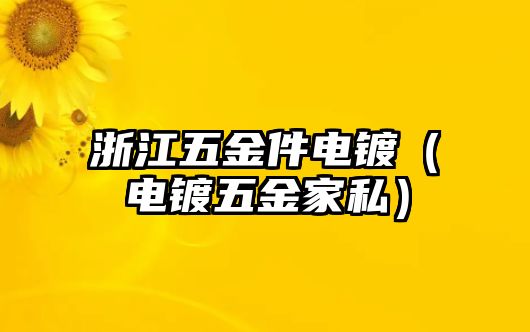 浙江五金件電鍍（電鍍五金家私）