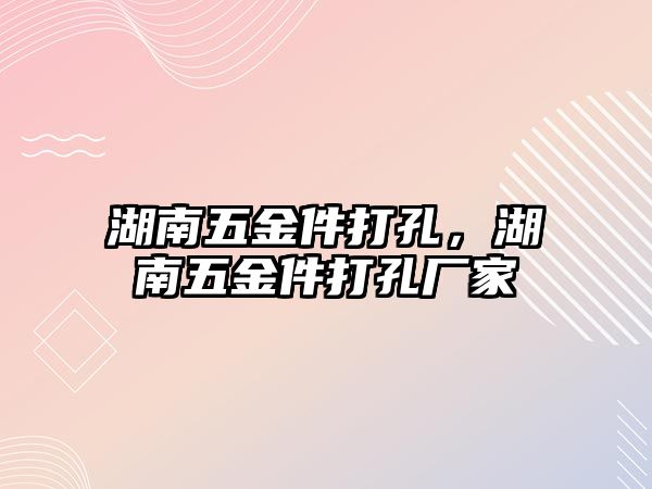 湖南五金件打孔，湖南五金件打孔廠家