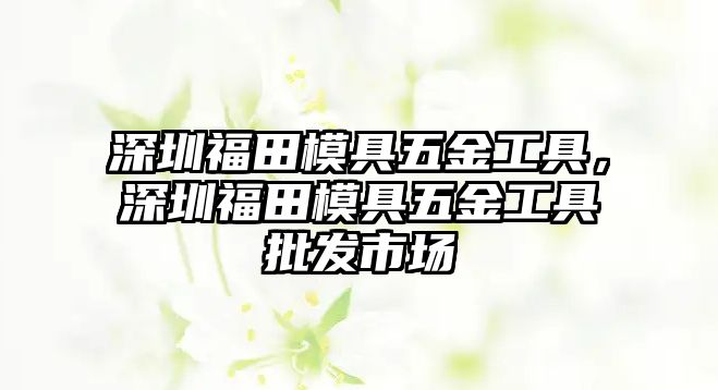 深圳福田模具五金工具，深圳福田模具五金工具批發市場