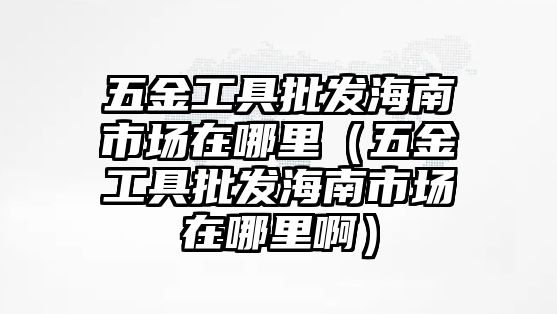 五金工具批發(fā)海南市場在哪里（五金工具批發(fā)海南市場在哪里啊）