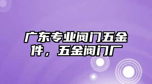 廣東專業閥門五金件，五金閥門廠