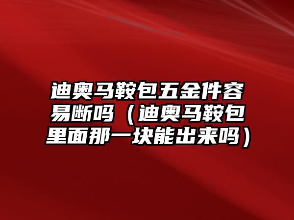 迪奧馬鞍包五金件容易斷嗎（迪奧馬鞍包里面那一塊能出來(lái)嗎）