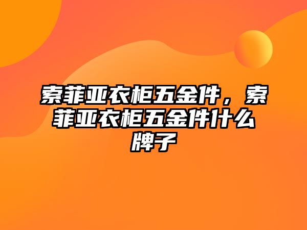 索菲亞衣柜五金件，索菲亞衣柜五金件什么牌子