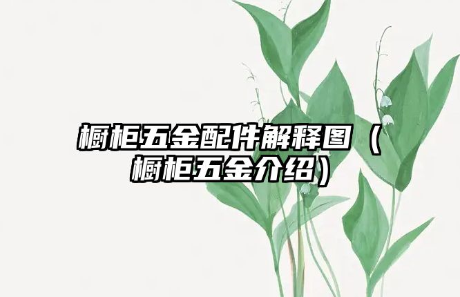 櫥柜五金配件解釋圖（櫥柜五金介紹）