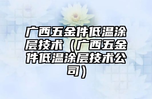 廣西五金件低溫涂層技術（廣西五金件低溫涂層技術公司）