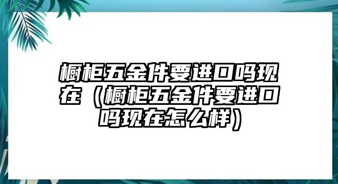 櫥柜五金件要進(jìn)口嗎現(xiàn)在（櫥柜五金件要進(jìn)口嗎現(xiàn)在怎么樣）