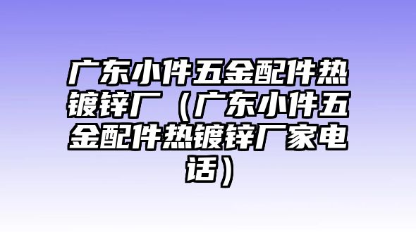 廣東小件五金配件熱鍍鋅廠（廣東小件五金配件熱鍍鋅廠家電話）