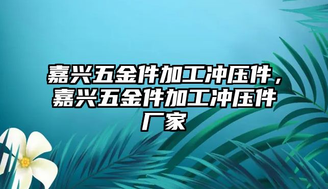 嘉興五金件加工沖壓件，嘉興五金件加工沖壓件廠家