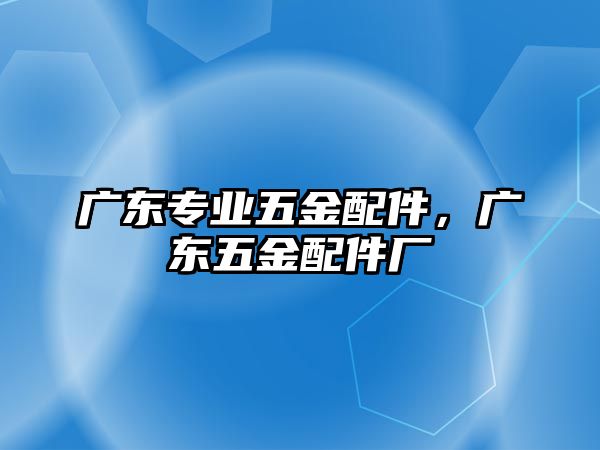 廣東專業五金配件，廣東五金配件廠