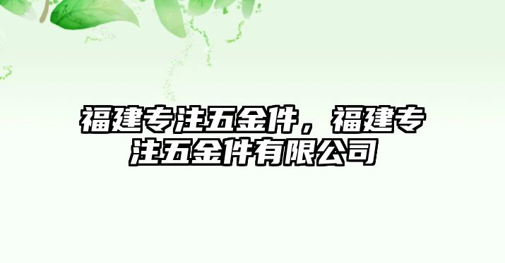 福建專注五金件，福建專注五金件有限公司