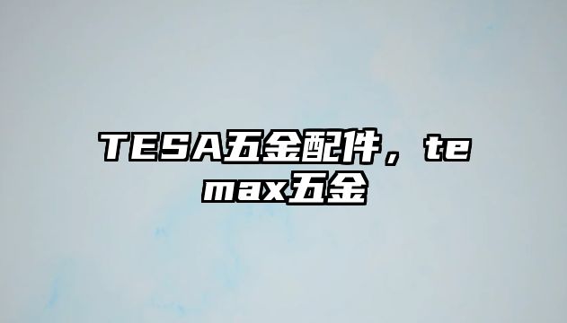 TESA五金配件，temax五金