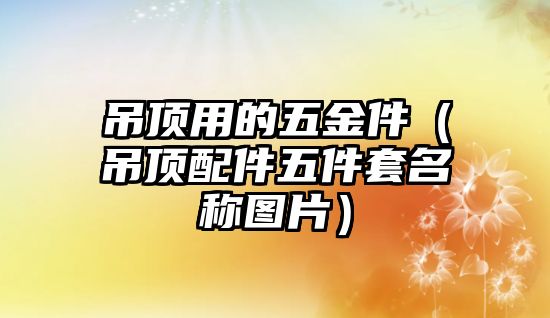 吊頂用的五金件（吊頂配件五件套名稱圖片）