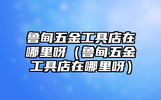 魯甸五金工具店在哪里呀（魯甸五金工具店在哪里呀）