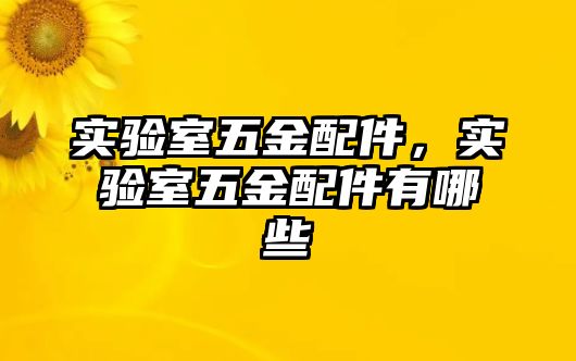 實驗室五金配件，實驗室五金配件有哪些