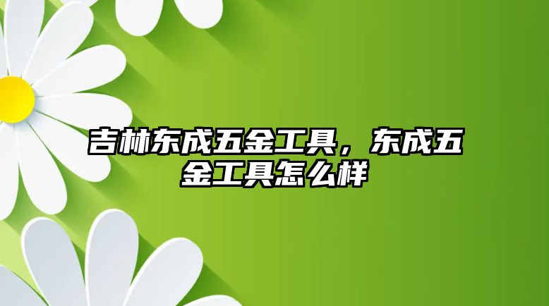 吉林東成五金工具，東成五金工具怎么樣