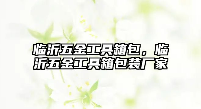 臨沂五金工具箱包，臨沂五金工具箱包裝廠家