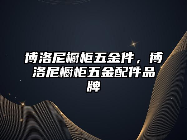 博洛尼櫥柜五金件，博洛尼櫥柜五金配件品牌