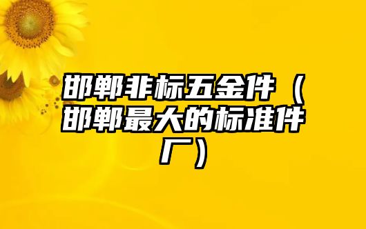 邯鄲非標(biāo)五金件（邯鄲最大的標(biāo)準(zhǔn)件廠）