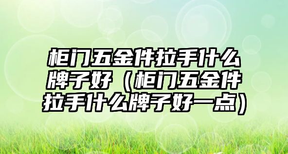 柜門五金件拉手什么牌子好（柜門五金件拉手什么牌子好一點）