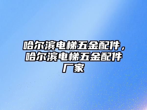 哈爾濱電梯五金配件，哈爾濱電梯五金配件廠家