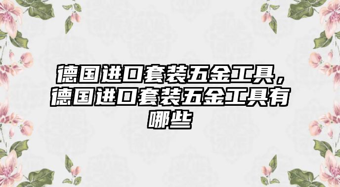 德國(guó)進(jìn)口套裝五金工具，德國(guó)進(jìn)口套裝五金工具有哪些