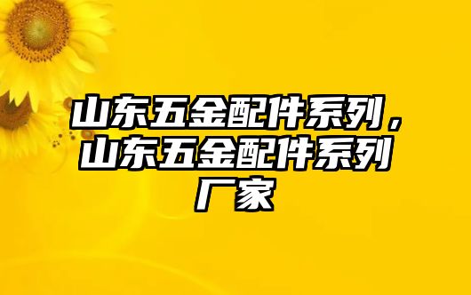 山東五金配件系列，山東五金配件系列廠家