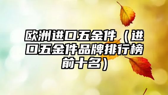 歐洲進口五金件（進口五金件品牌排行榜前十名）