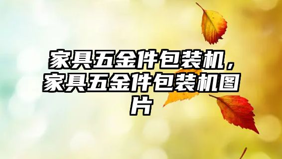 家具五金件包裝機，家具五金件包裝機圖片