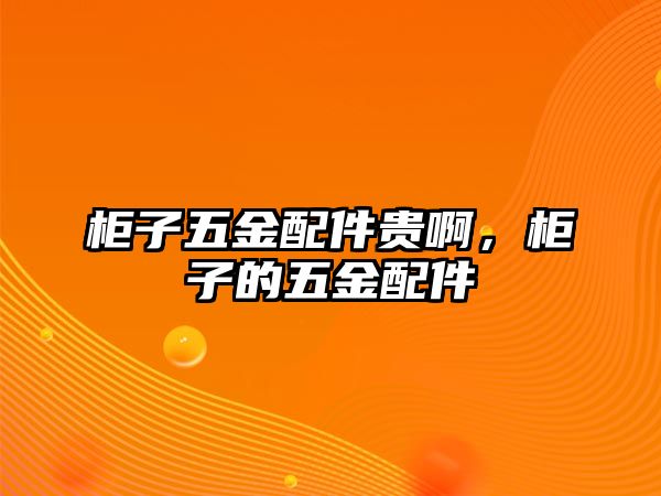 柜子五金配件貴啊，柜子的五金配件