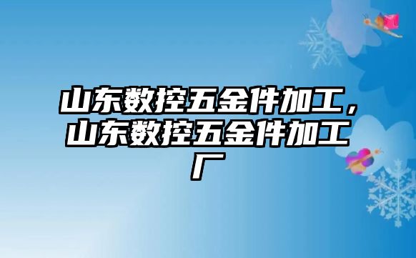 山東數(shù)控五金件加工，山東數(shù)控五金件加工廠