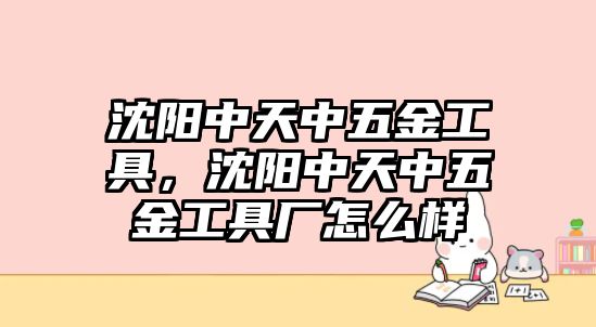 沈陽(yáng)中天中五金工具，沈陽(yáng)中天中五金工具廠怎么樣