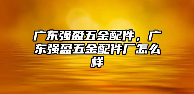 廣東強盈五金配件，廣東強盈五金配件廠怎么樣