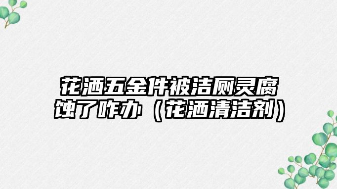 花灑五金件被潔廁靈腐蝕了咋辦（花灑清潔劑）