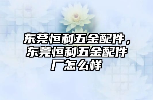 東莞恒利五金配件，東莞恒利五金配件廠怎么樣