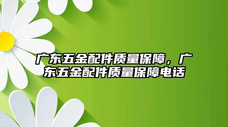 廣東五金配件質量保障，廣東五金配件質量保障電話