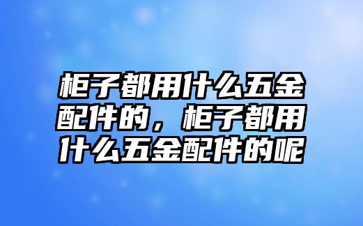 柜子都用什么五金配件的，柜子都用什么五金配件的呢