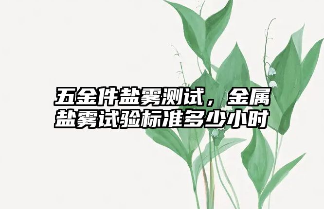 五金件鹽霧測(cè)試，金屬鹽霧試驗(yàn)標(biāo)準(zhǔn)多少小時(shí)