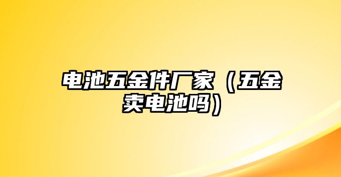 電池五金件廠家（五金賣電池嗎）