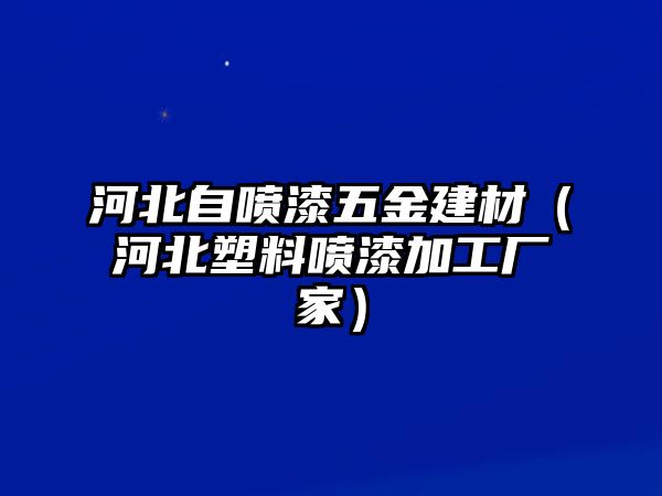 河北自噴漆五金建材（河北塑料噴漆加工廠家）